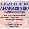 Liszt Ferenc Kamarazenekar web